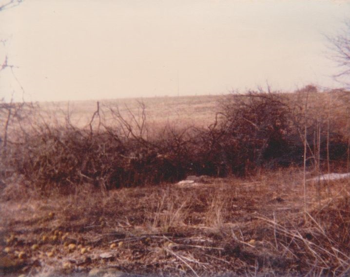 Wood cutting on Virgil Adderson 1980 Wood cutting on Virgil Adderson 1980