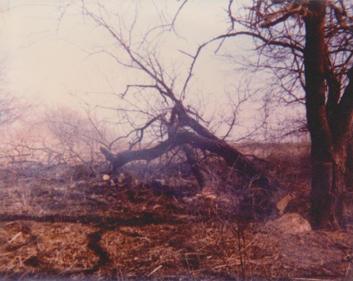 Wood cutting on Virgil Adderson 1980 Wood cutting on Virgil Adderson 1980