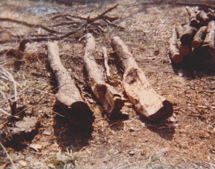 Wood cutting on Virgil Adderson 1980 Wood cutting on Virgil Adderson 1980