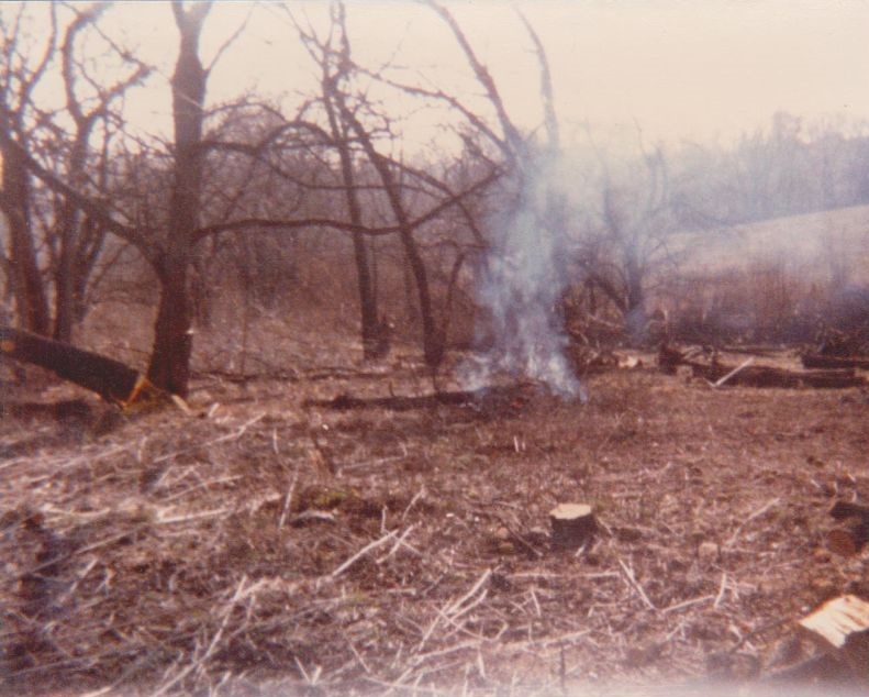 Wood cutting on Virgil Adderson 1980 Wood cutting on Virgil Adderson 1980