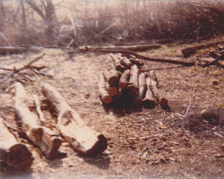 Wood cutting on Virgil Adderson 1980 Wood cutting on Virgil Adderson 1980