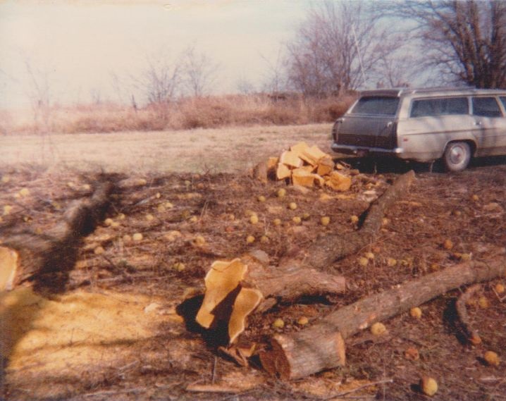 Wood cutting on Virgil Adderson 1980 Wood cutting on Virgil Adderson 1980
