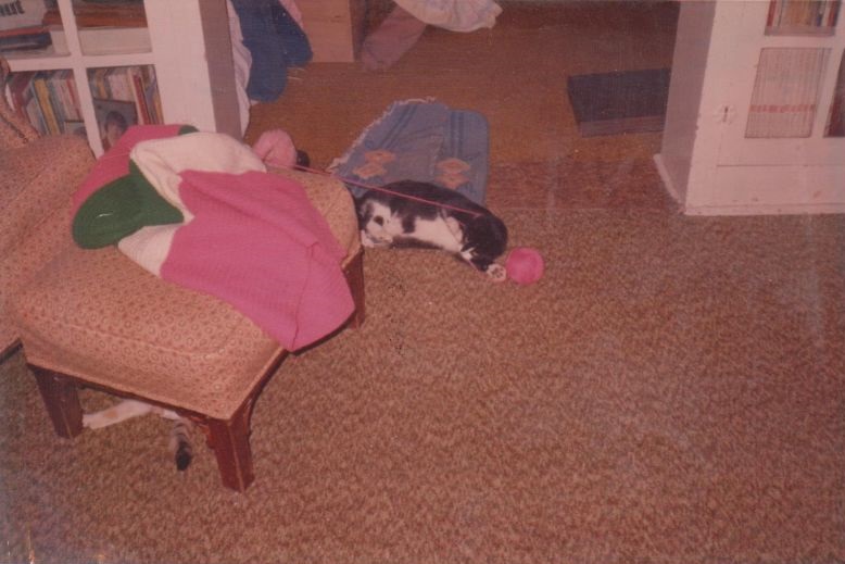 Chrismas 1985 Walnut street Chillicothe MO Chrismas 1985 Walnut street Chillicothe MO