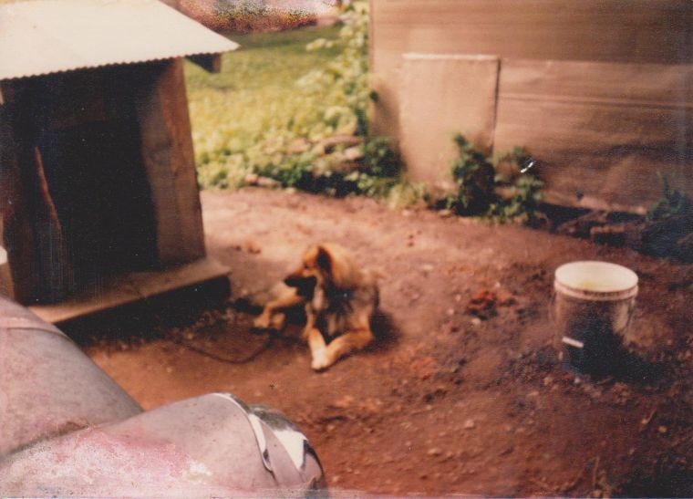 Rusty by his dog house Rusty by his dog house