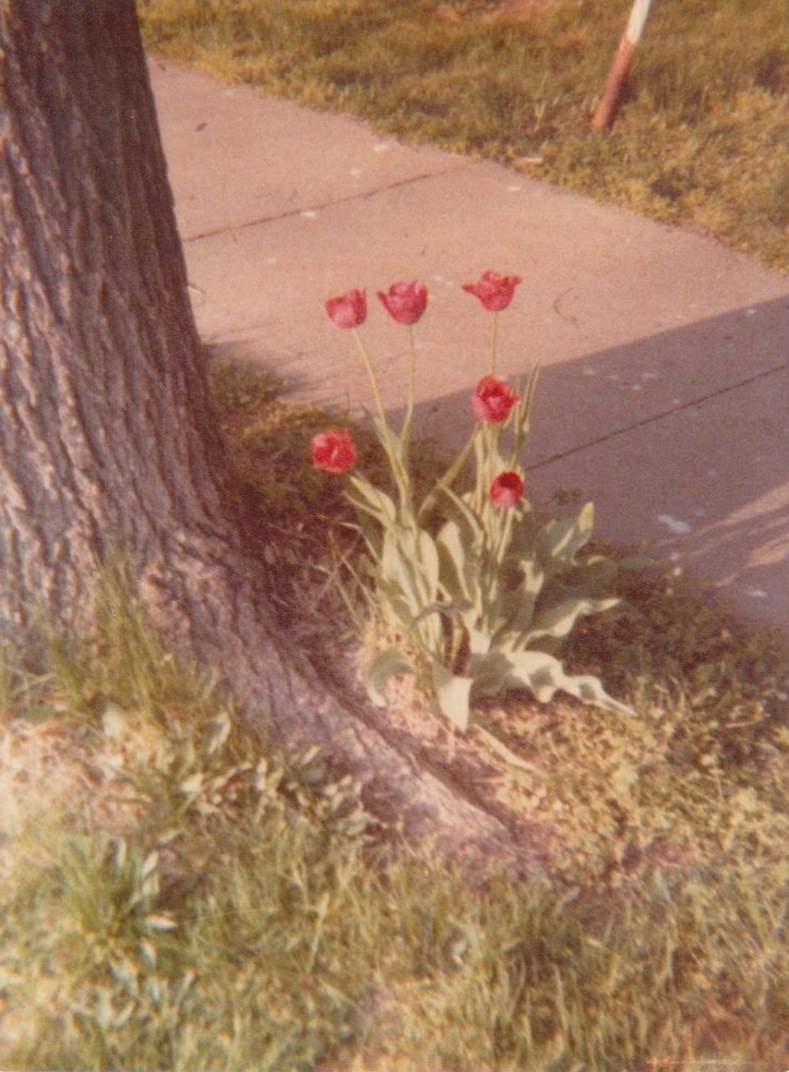 Frist street Braymer MO Frist street Braymer MO