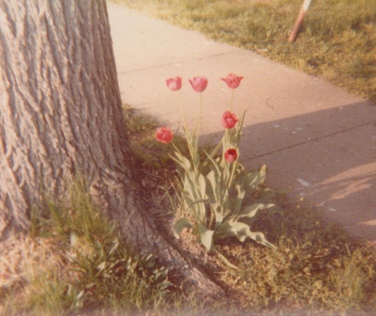 Frist street Braymer MO Frist street Braymer MO