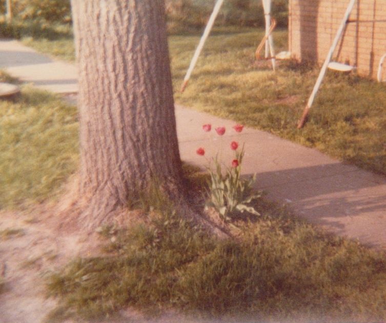 Frist street Braymer MO Frist street Braymer MO