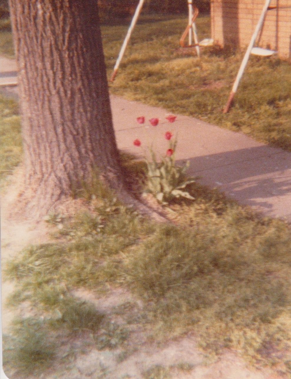 Frist street Braymer MO Frist street Braymer MO