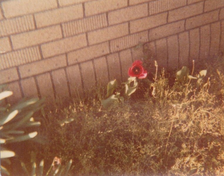 Frist street Braymer MO Frist street Braymer MO