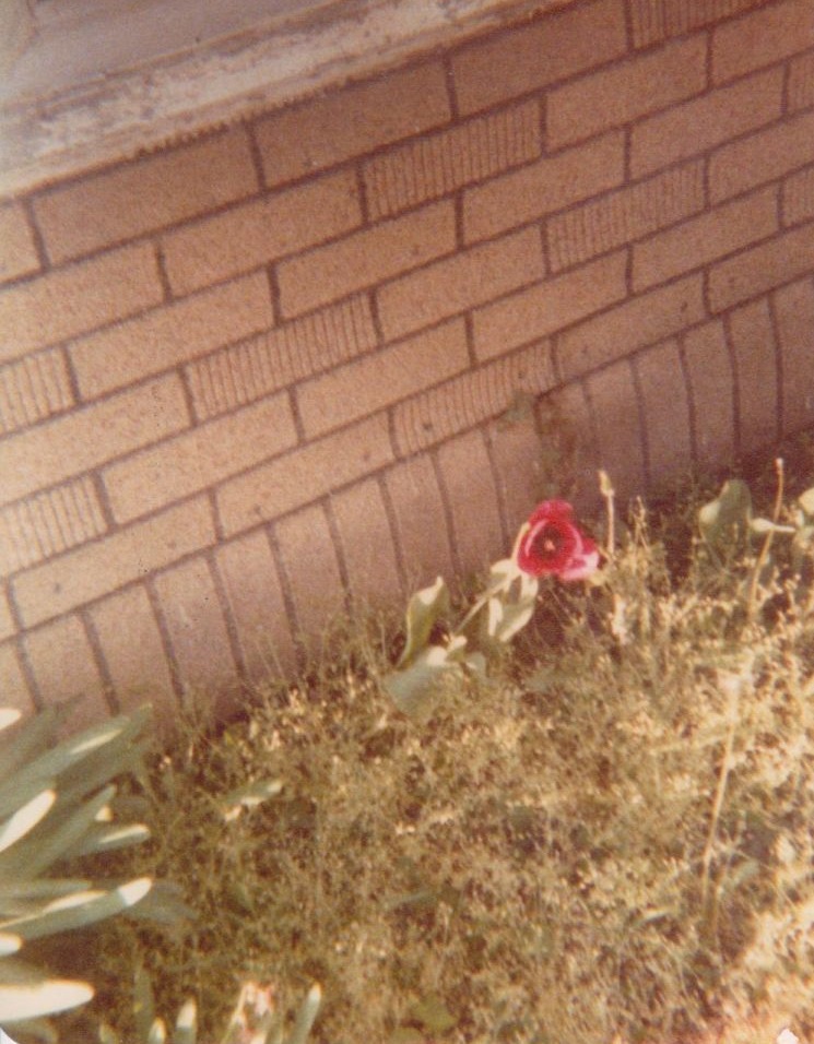 Frist street Braymer MO Frist street Braymer MO