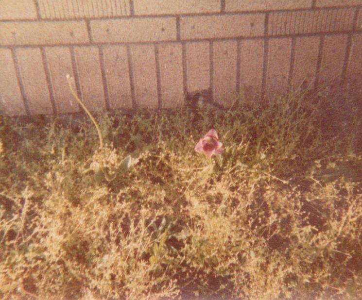 Frist street Braymer MO Frist street Braymer MO