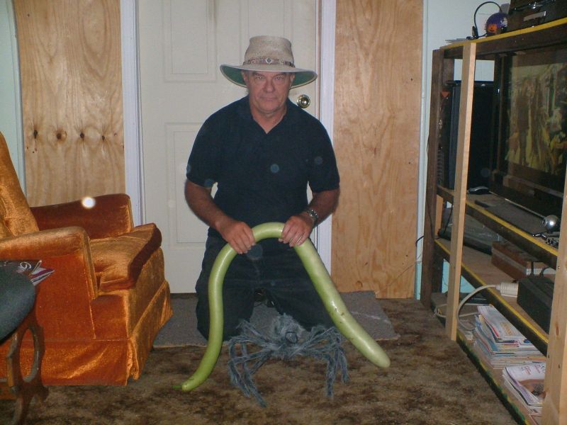 Bobbie Derrickson's Giant Ginny Bean Bobbie' Derrickson's Giant Ginny Bean