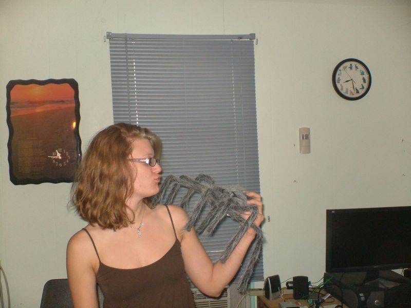 Amy Wilson Amy Wilson