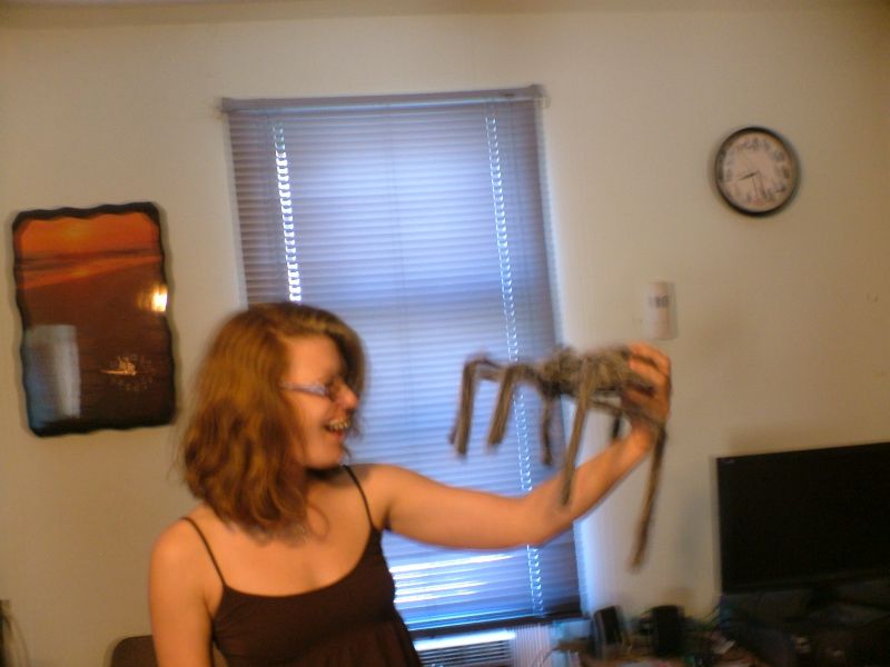 Amy Wilson Amy Wilson