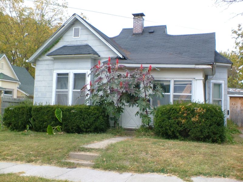 My house & caster beans 1115 Clay St. My house & caster beans115 Clay St.