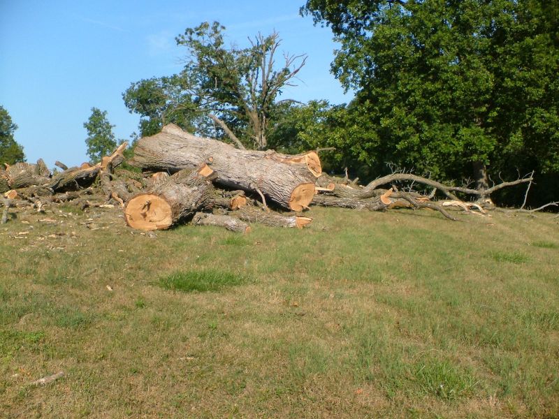 Edgewood Cemetery Chillicothe Mo Edgewood Cemetery Chillicothe Mo