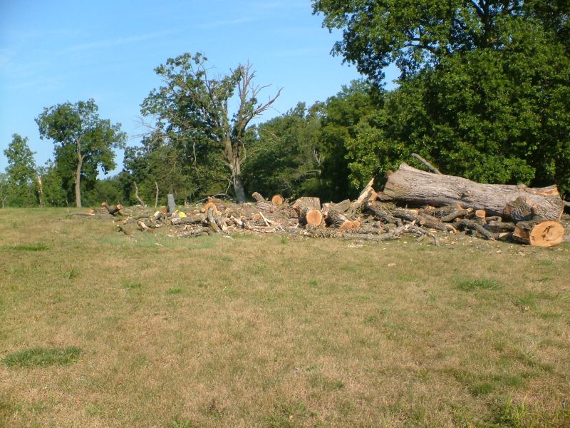 Edgewood Cemetery Chillicothe Mo Edgewood Cemetery Chillicothe Mo